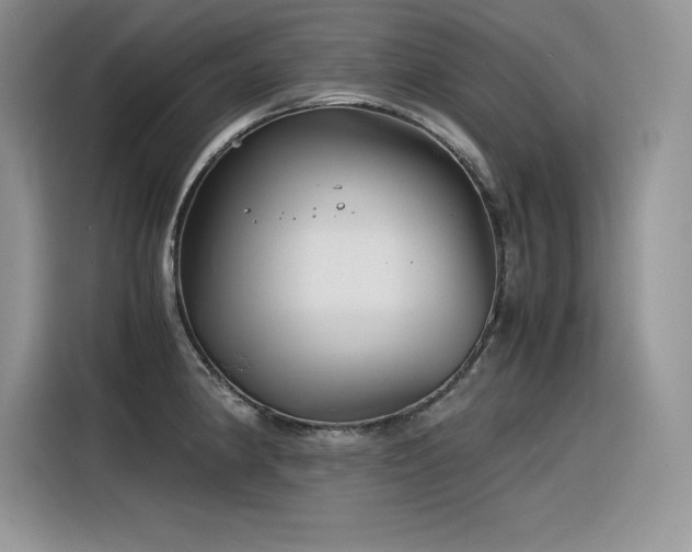 X0000116391190200912021533