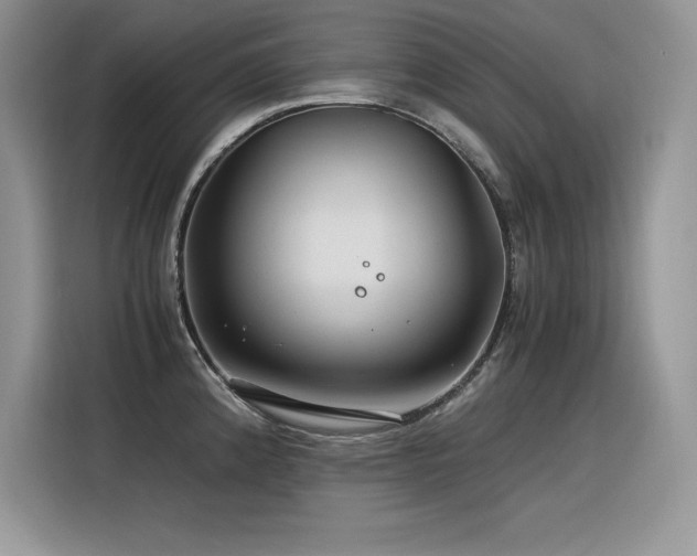 X0000116391192200912021533