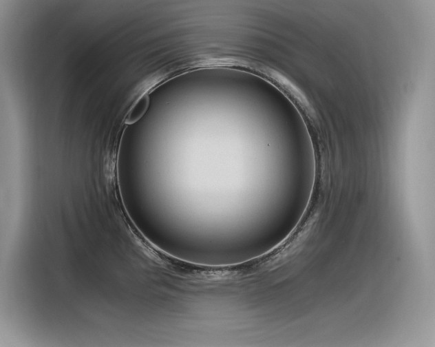 X0000116391193200912021533
