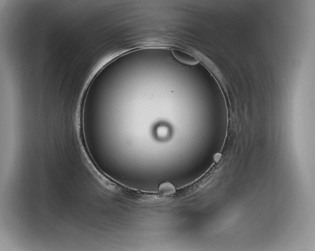 X0000116391195200912021533