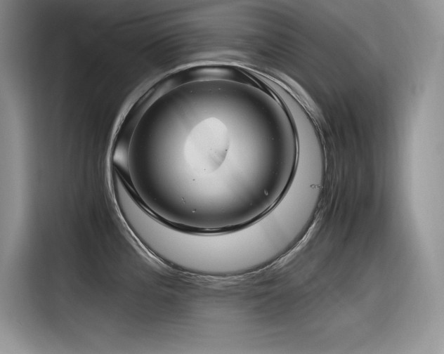 X0000116391196200912021533