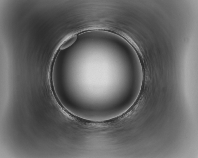 X0000116391197200912021533
