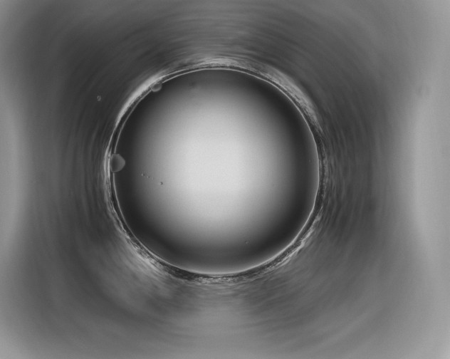 X0000116391198200912021533