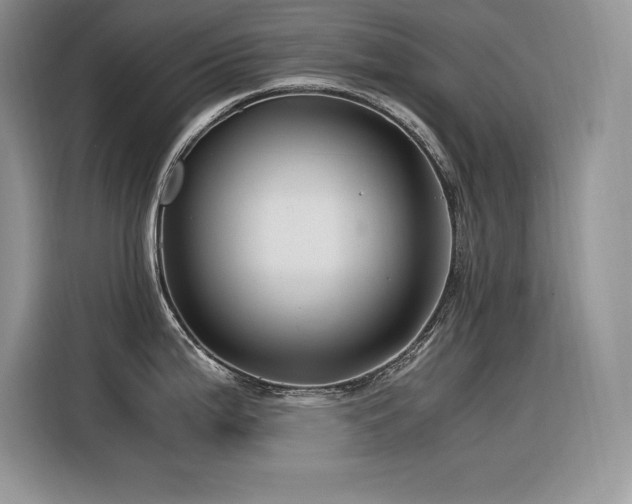 X0000116391199200912021533