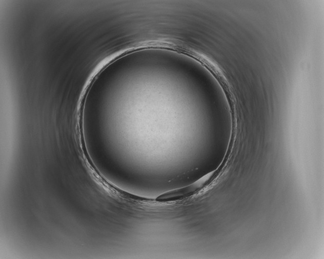X0000116391200200912021533