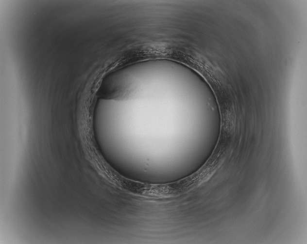 X0000116391201200912021533