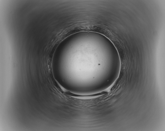 X0000116391202200912021533