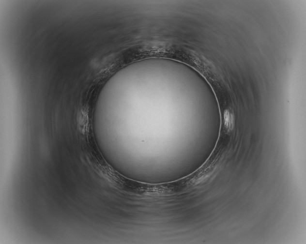 X0000116391203200912021533