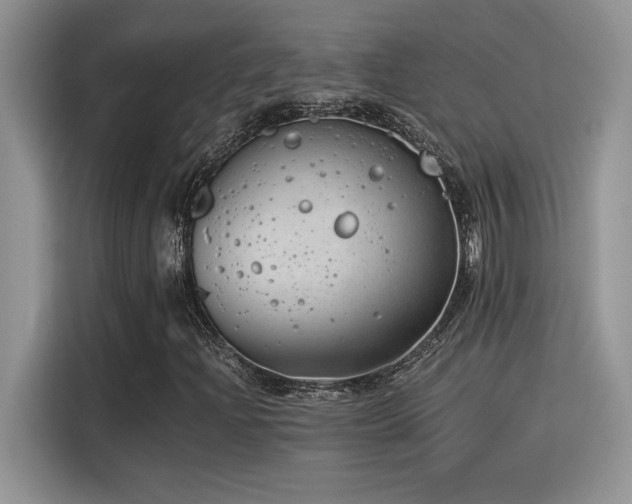X0000116391204200912021533
