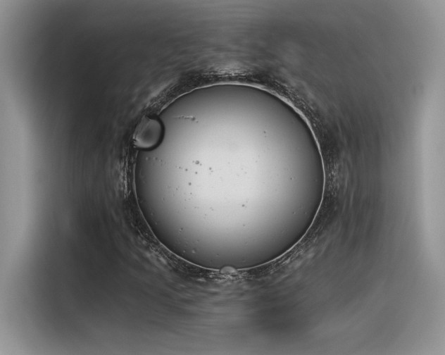 X0000116391205200912021533