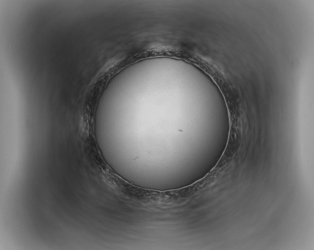X0000116391207200912021533