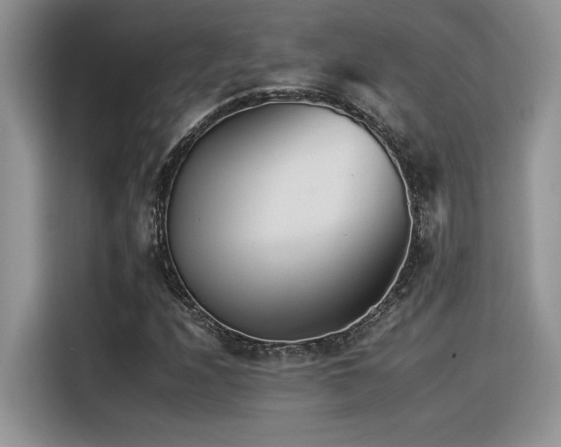 X0000116391208200912021533