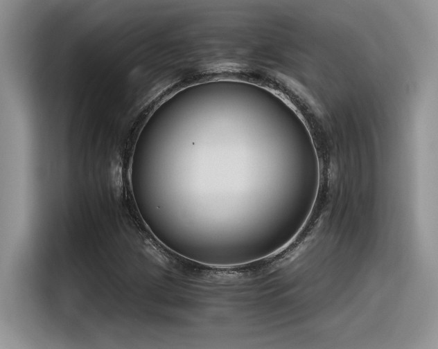 X0000116391209200912021533