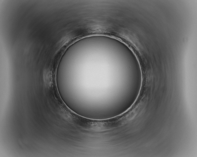 X0000116391211200912021533