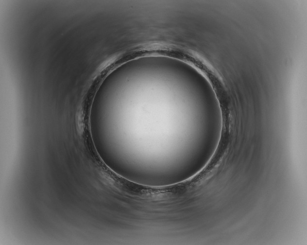 X0000116391213200912021533