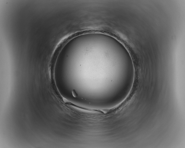 X0000116391214200912021533