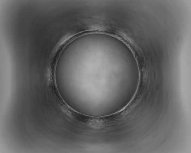 X0000116391215200912021533