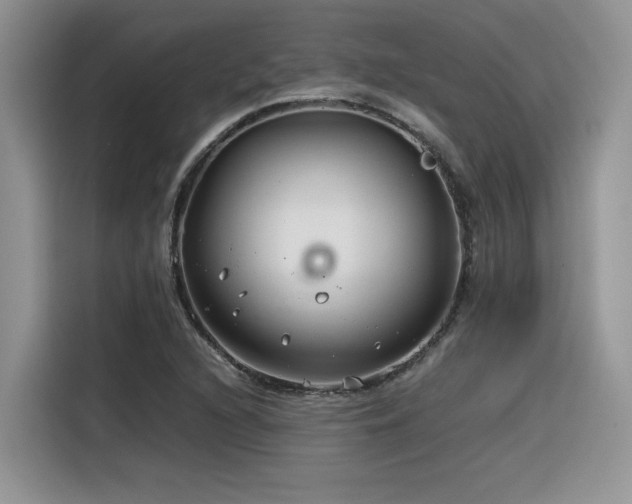 X0000116391216200912021533