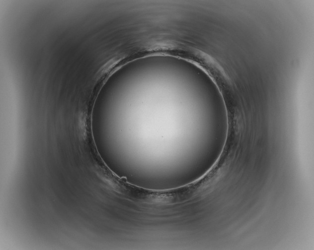 X0000116391217200912021533