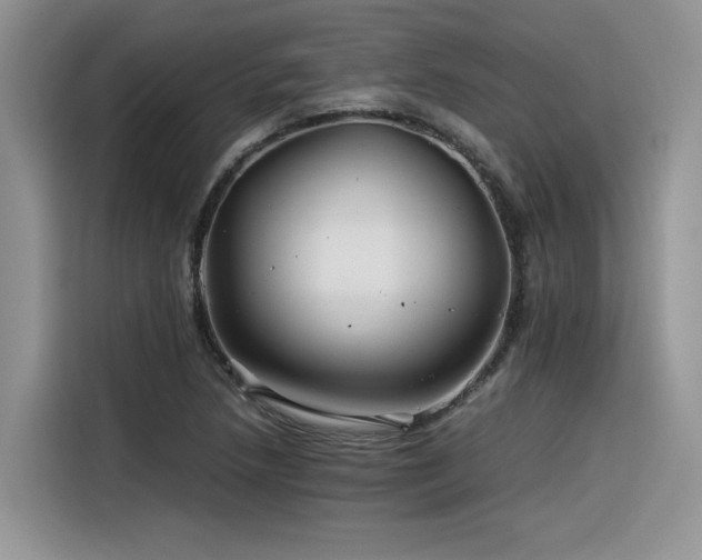 X0000116391218200912021533