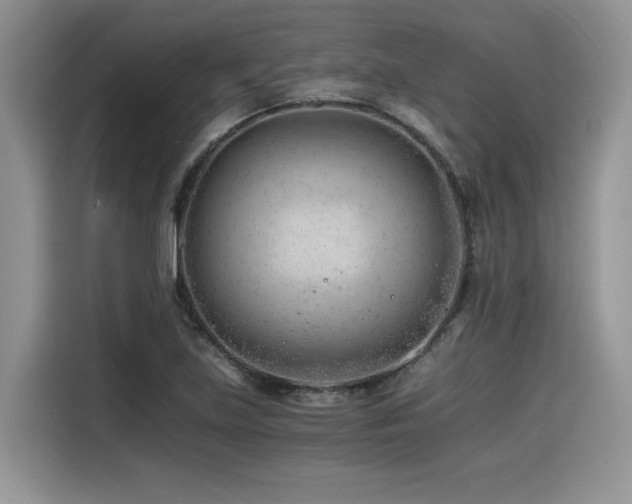 X0000116391219200912021533
