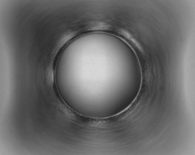 X0000116391221200912021533