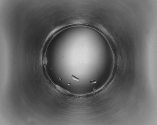 X0000116391222200912021533