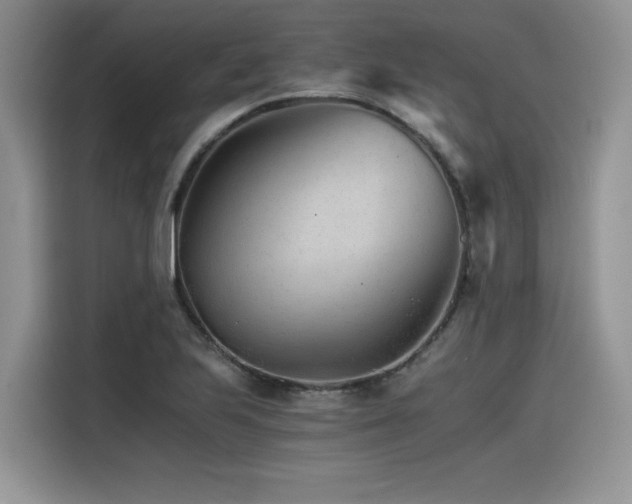 X0000116391223200912021533