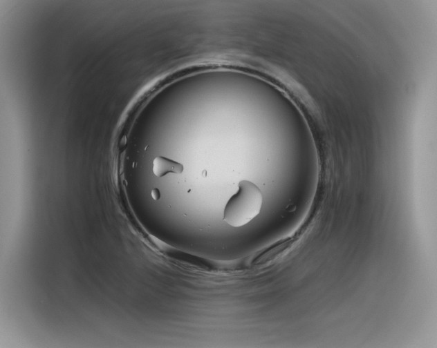 X0000116391224200912021533