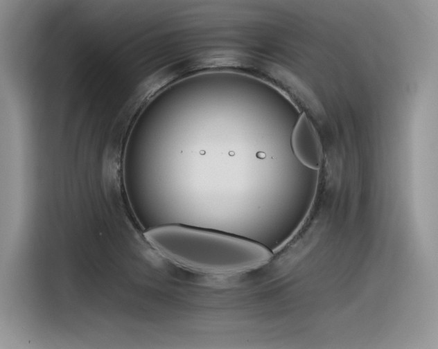X0000116391225200912021533