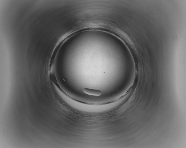 X0000116391226200912021533