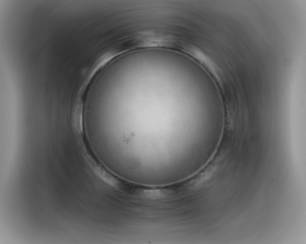 X0000116391227200912021533