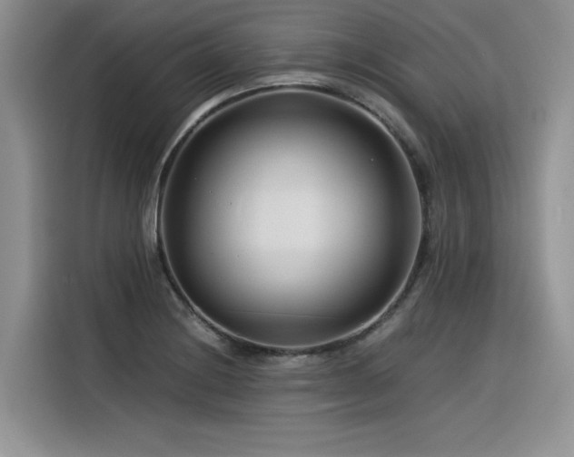 X0000116391228200912021533