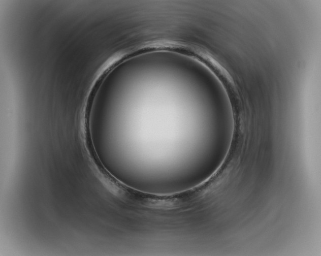 X0000116391229200912021533