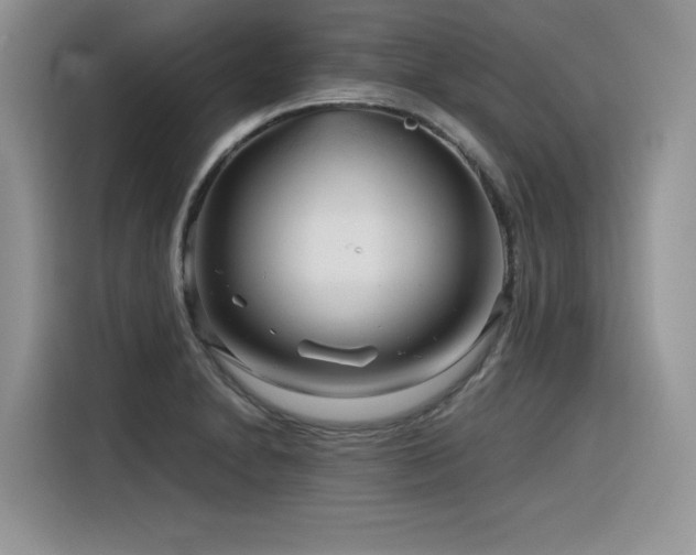 X0000116391230200912021533