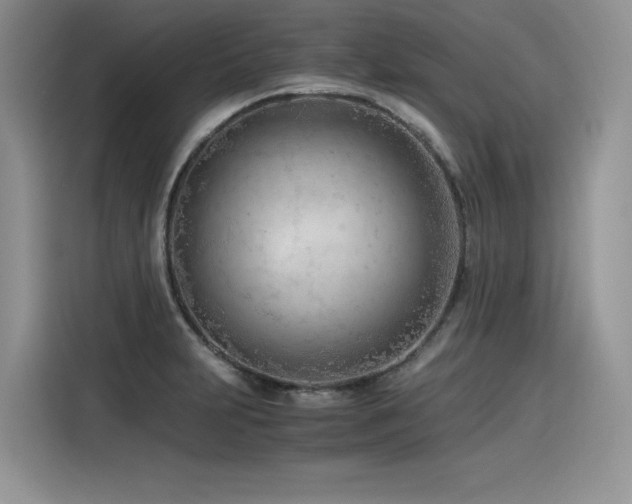 X0000116391231200912021533