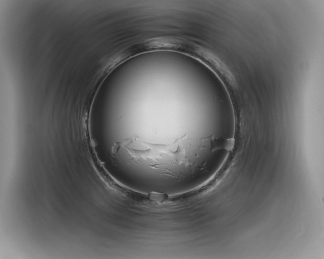 X0000116391233200912021533