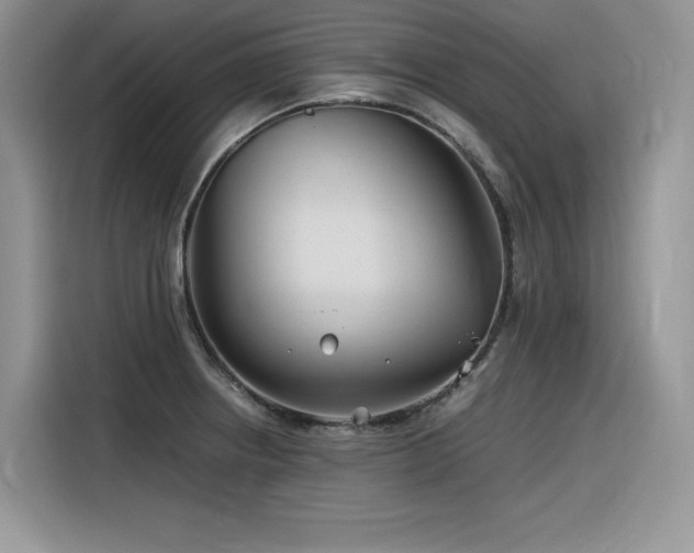 X0000116391234200912021533