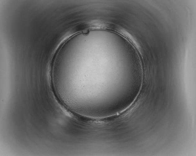 X0000116391235200912021533