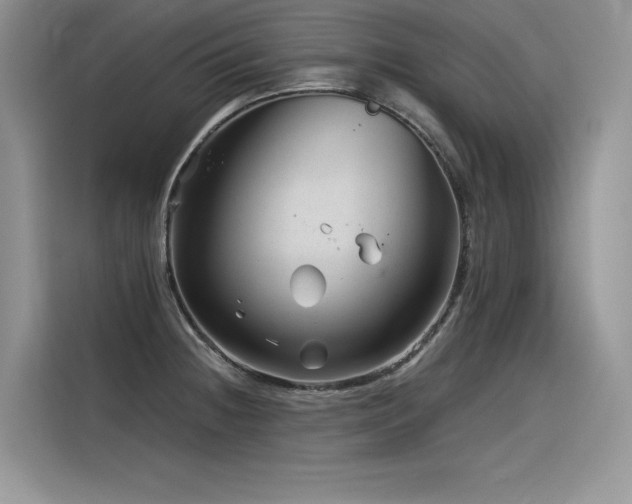 X0000116391236200912021533