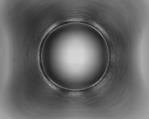 X0000116391237200912021533