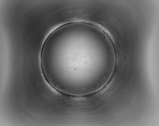 X0000116391239200912021533