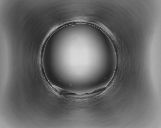 X0000116391240200912021533