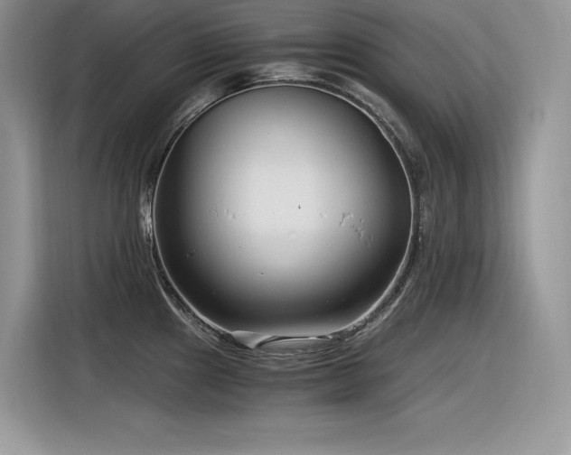 X0000116391241200912021533