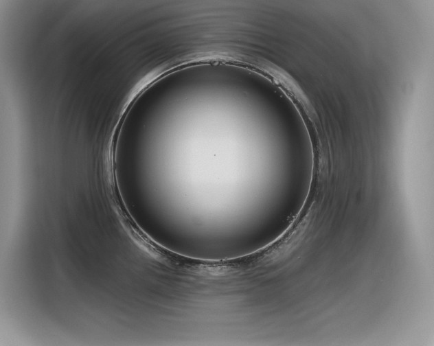 X0000116391242200912021533