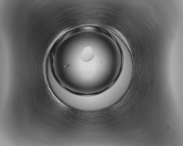 X0000116391243200912021533
