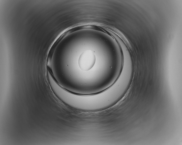 X0000116391244200912021533