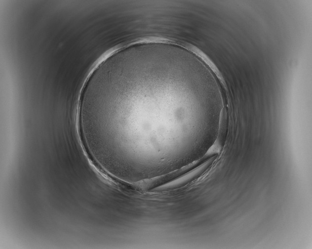 X0000116391245200912021533