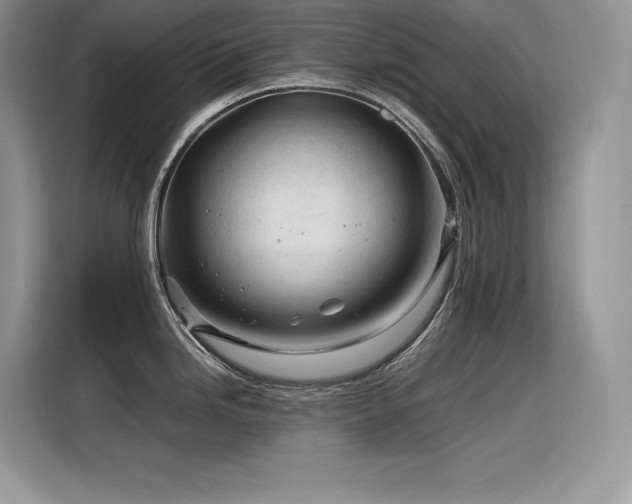 X0000116391246200912021533