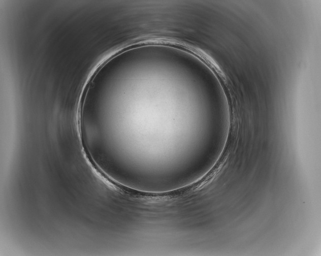 X0000116391247200912021533